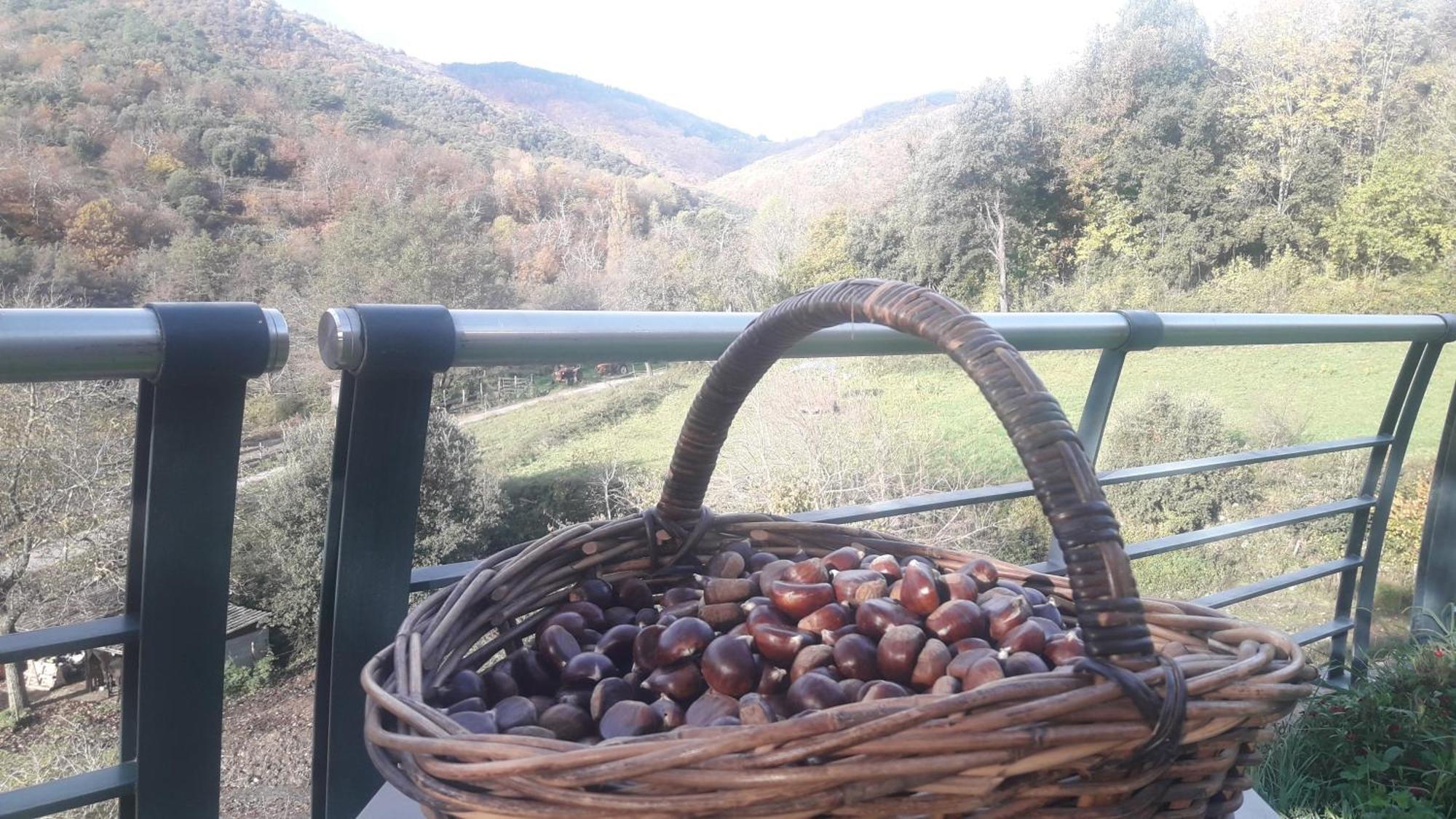 De La Salamandre Holiday home *