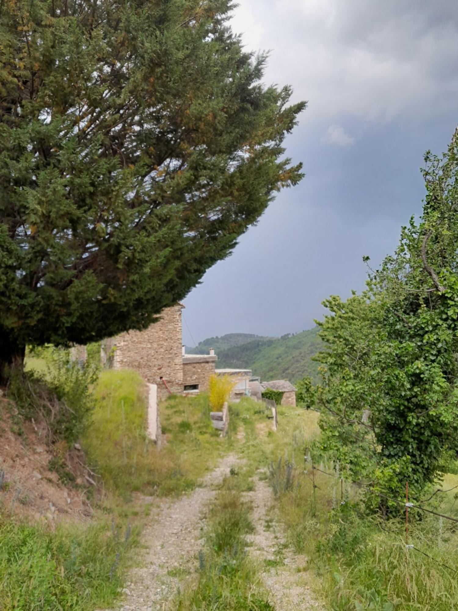 Holiday home De La Salamandre Saint-Privat-de-Vallongue